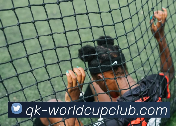 世界杯WorldCup平台平台生态图